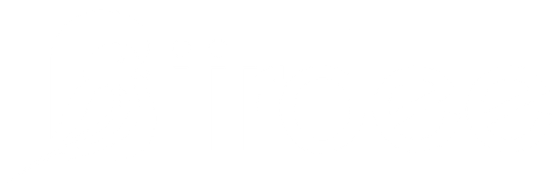 Biirdee