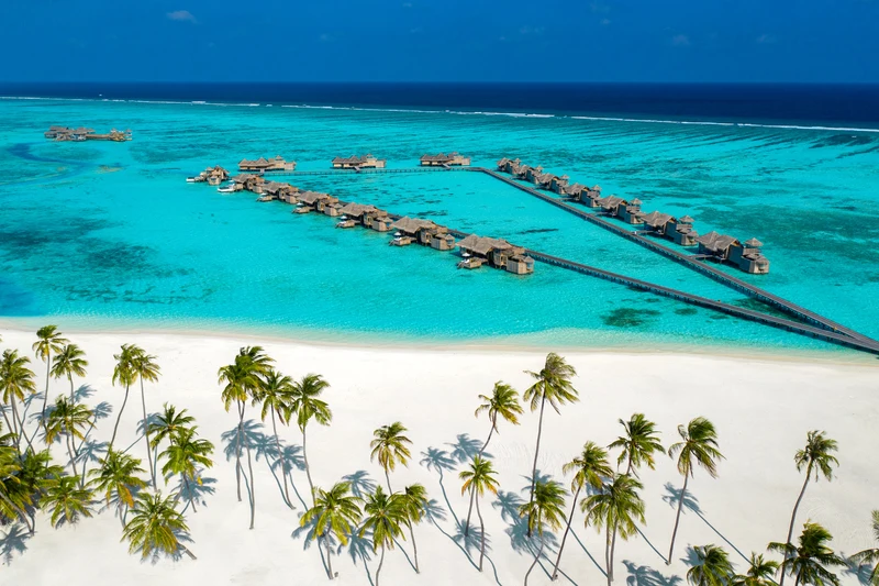 Overwater villas and palm-lined beach, aerial view at Gili Lankanfushi