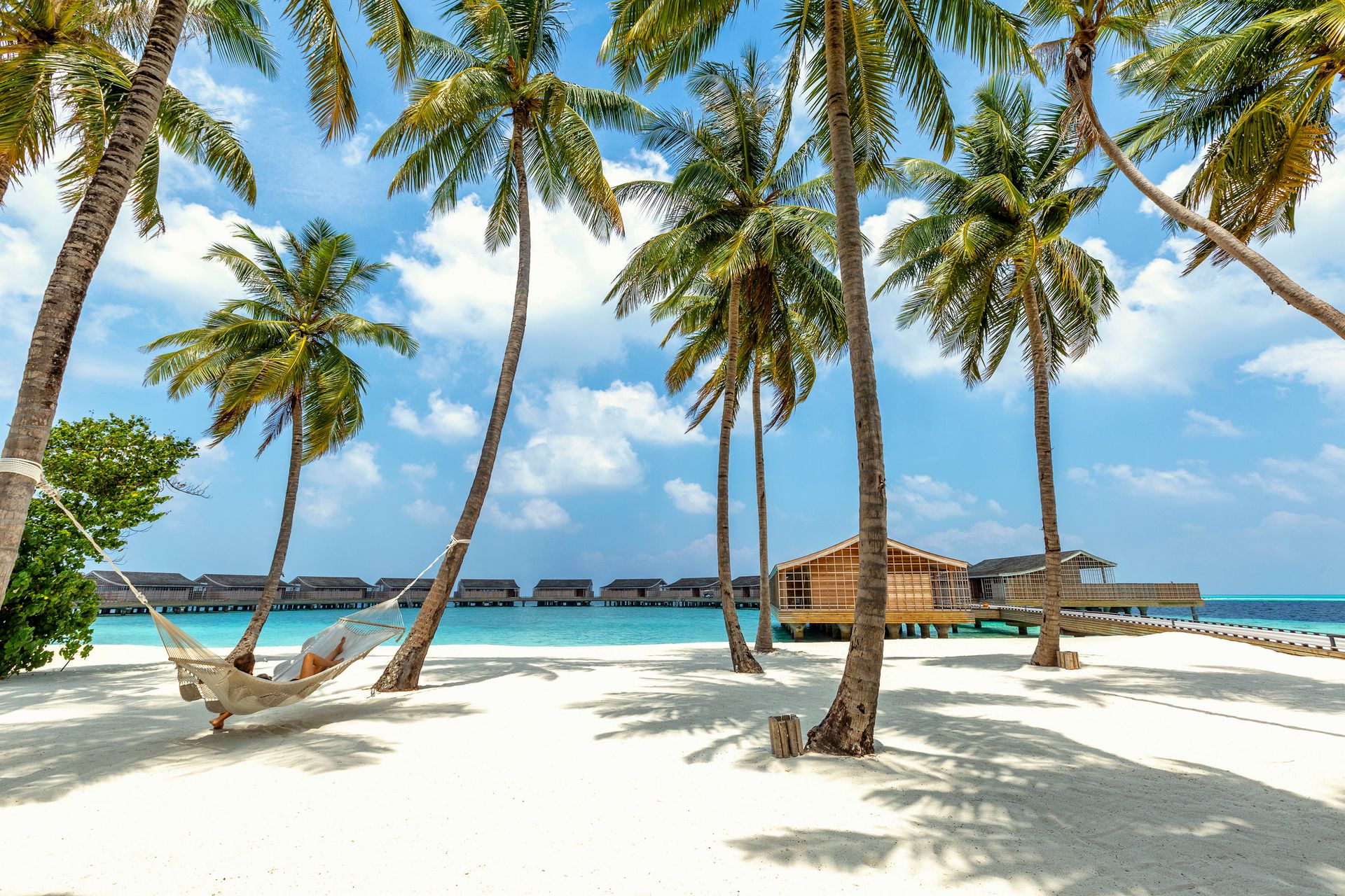 Palm-lined white sand beach at Kudadoo Private Island