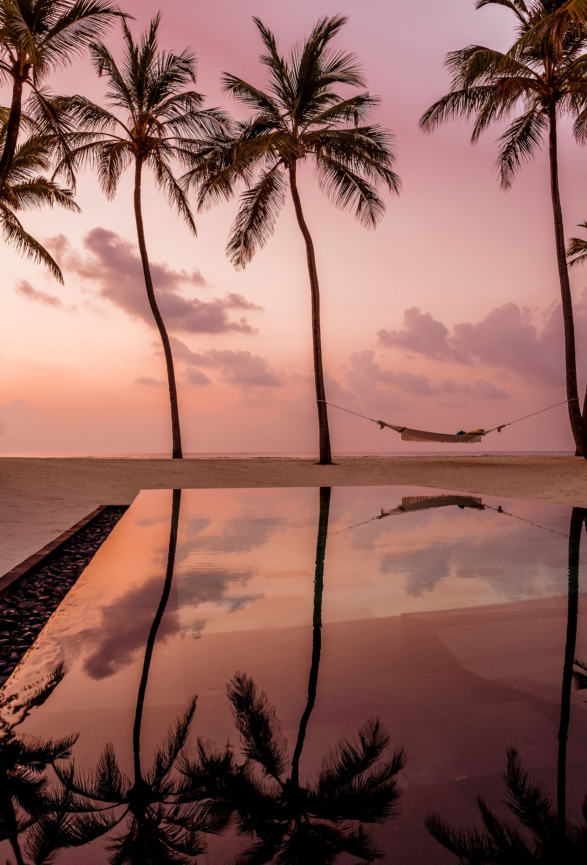 Palm trees reflected in a pool at sunset at One&Only Reethi Rah